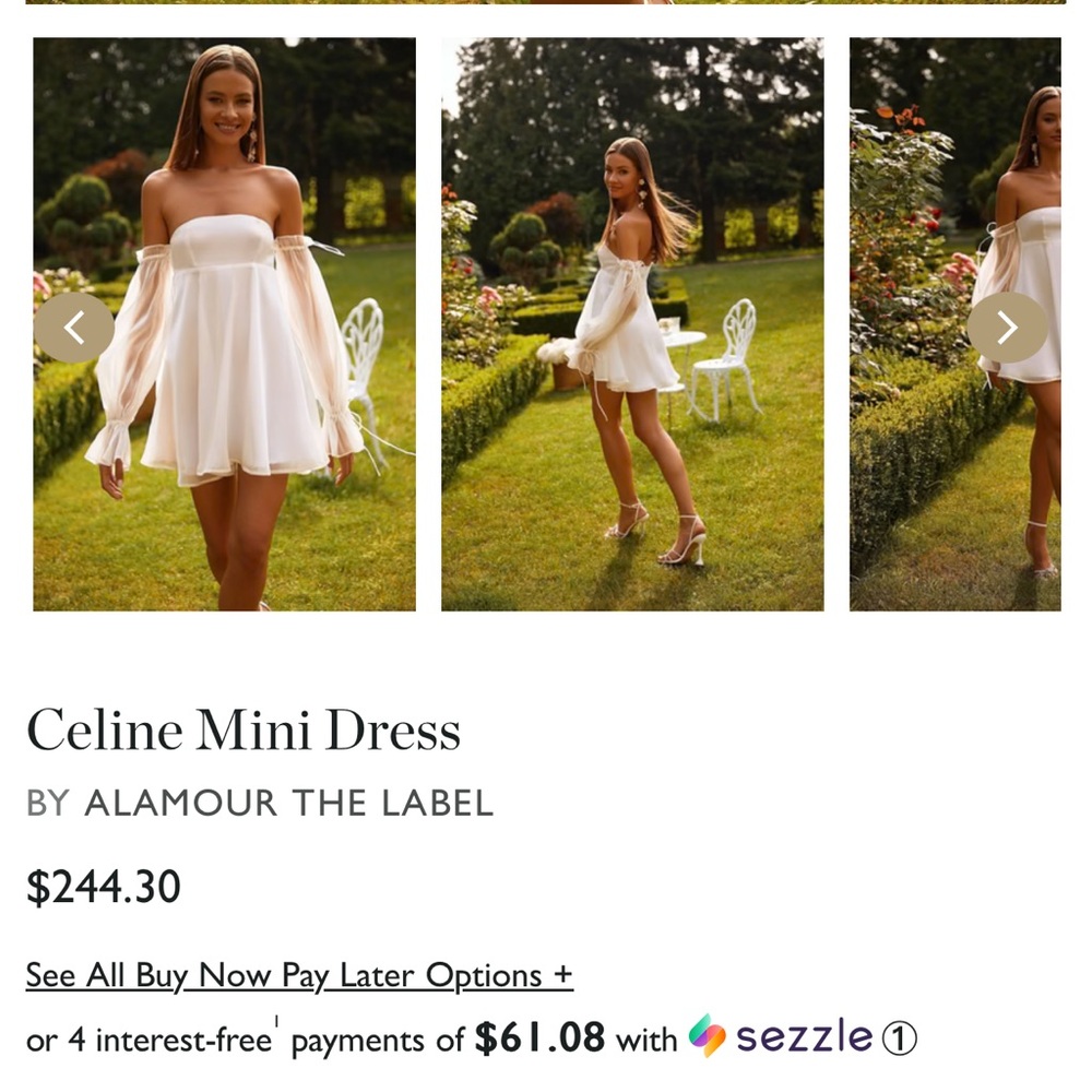 Alamour the Label Celine Mini Dress